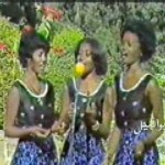 فيديو .. البلابل – البنريدو تايه