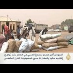 السودان أكبر مصدر للصمغ العربي في العالم