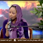 نهي عجاج .. سفر