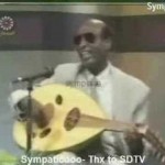 محمد الأمين – بدور القلعة وجوهرا – عود