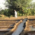 حنان النيل .. تعالوا نغني حنية