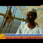عبد الرحيم شاهين .. اغنية دنقلاوية