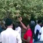 طه سليمان & فارس ارباب .. حفله المرسى