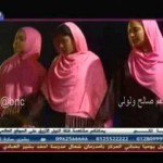 فرقة ولولي بقيادة الفنان صالح ولولي – وأغاني ورقصات
