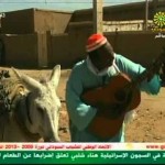 فرقة الهيلاهوب و العولمة