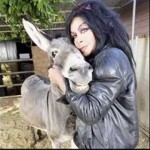 زواج النساء من الحيوانات.. إلى أين تتجه العوانس!؟